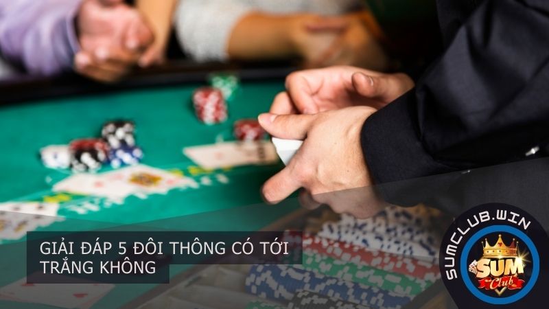 Giải đáp 5 đôi thông có tới trắng không
