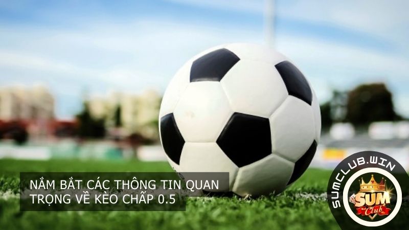 Nắm bắt các thông tin quan trọng về kèo chấp 0.5
