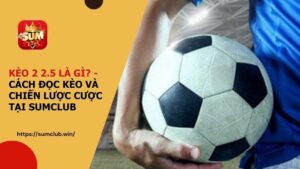 Kèo chấp 2 2.5 là gì?- Cách đọc kèo và chiến lược cược tại SUMCLUB