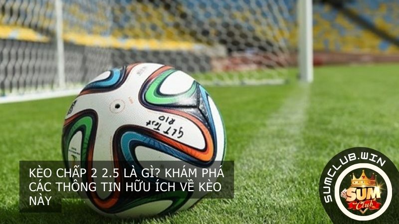 Kèo chấp 2 2.5 là gì? Khám phá các thông tin hữu ích