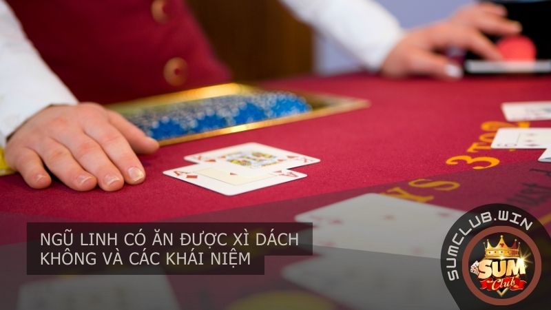 Ngũ linh có ăn được xì dách không và các khái niệm