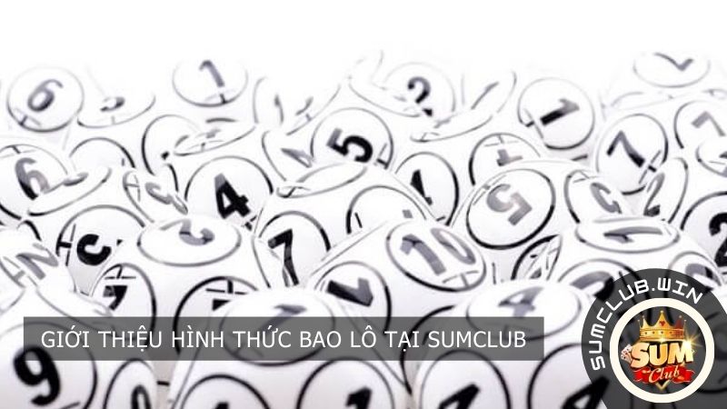 Giới thiệu hình thức Bao Lô tại SUMCLUB
