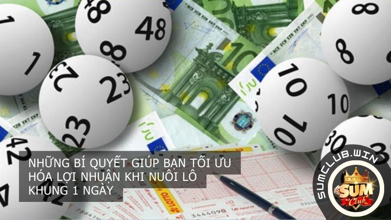 Những bí quyết giúp bạn tối ưu hóa lợi nhuận khi nuôi lô khung 1 ngày